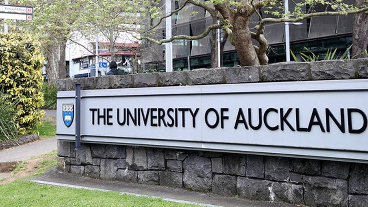 auckland banner